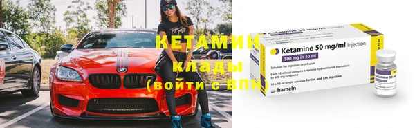 шишки Вязники