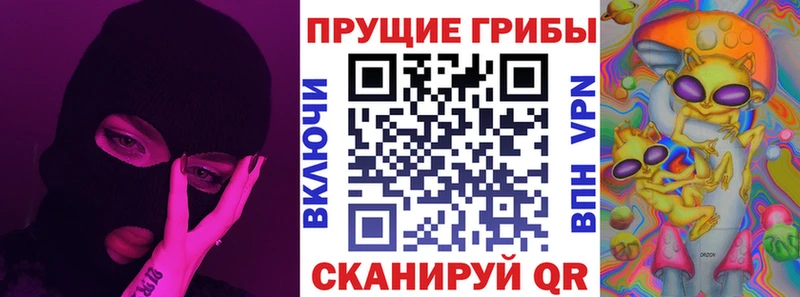 Псилоцибиновые грибы мицелий  Тбилисская 